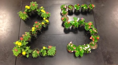 Future Farmers of America seniors celebrate 25 days left by creating the number 25 out of flowers.