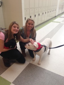 Juniors Alli Johnson (left) and Maddy Pennington (right) pet Mrs. Caffarelli's english bulldog in the hallway.
