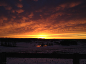 Photo of the day 1/31/14: The last sunrise