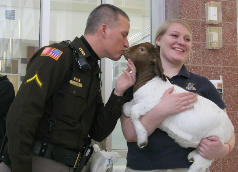 Katie Mayne holds her goat as Deputy Tim Calimar kisses it. 