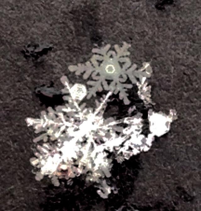 Magena Straights snowflake experiment. The final product 