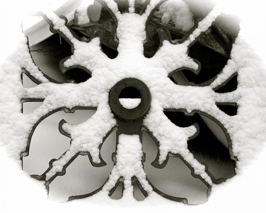 wiltrouts snowflake
