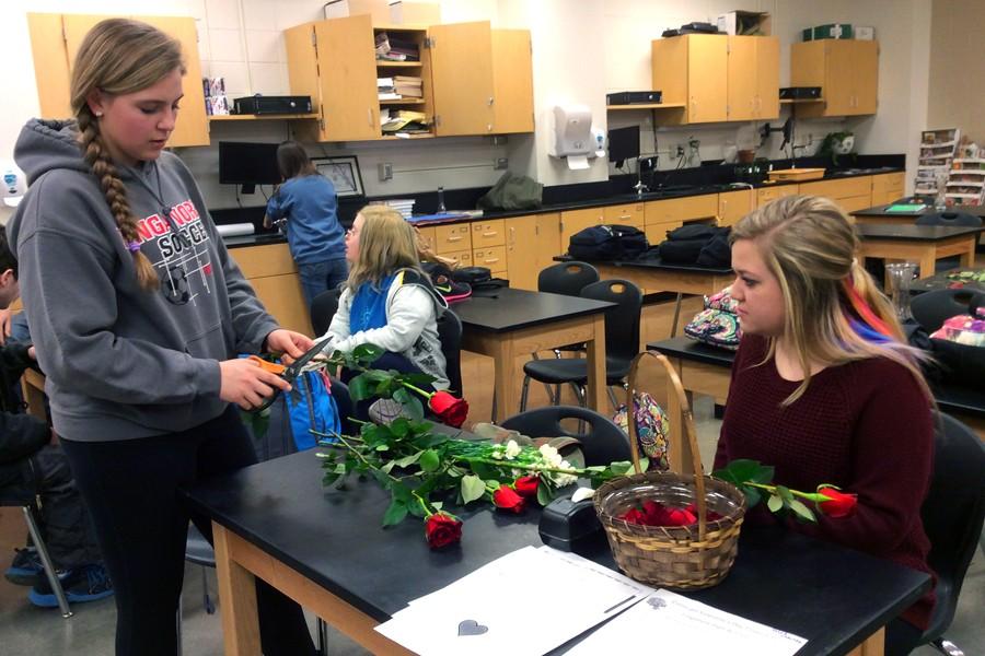 Juniors Katelyn Duda and Brianna Coposky make a Valentines Day flower arrangement in Mr. Hawthorne’s horticulture class.
