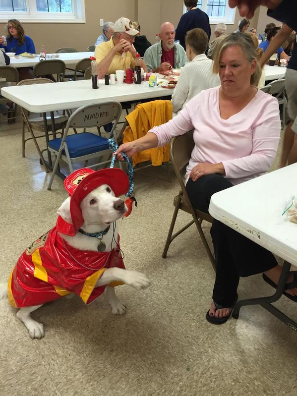 Rescue dog, Louie, waits obediently at his owner, Marcia Muffords, side for a treat at the New Market Fire-hall breakfast. 