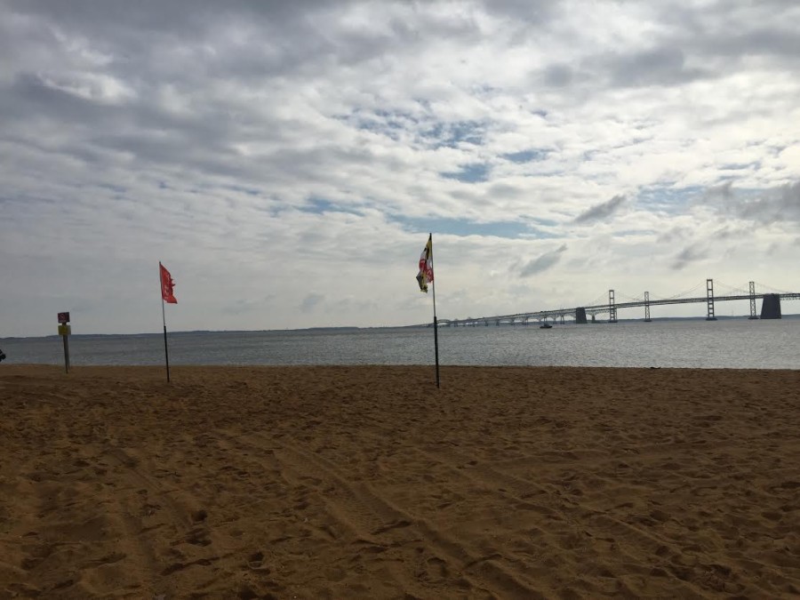 The Chesapeake Bay.