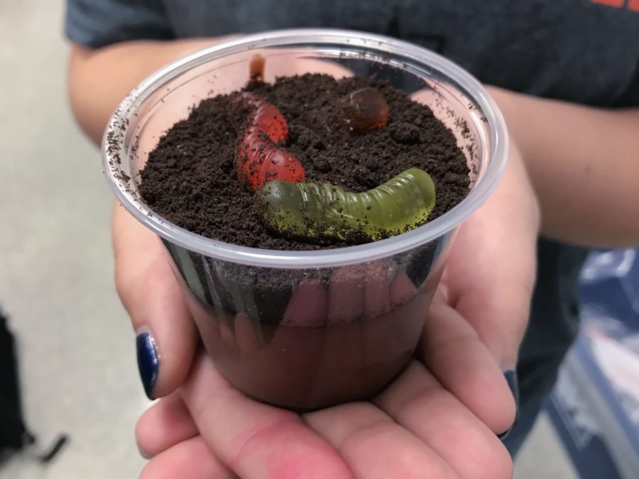 Mud Cups made by reporters Savannah Sitler and Nicole Muller.