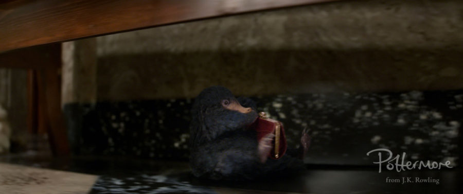 A Niffler cradles a purse from a scene in Fantastic Beasts and Where to Find Them.