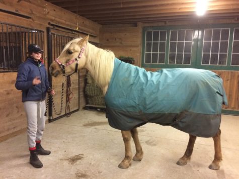 Nicole Muller holds horse "Soleil" wearing a medium weight blanket.