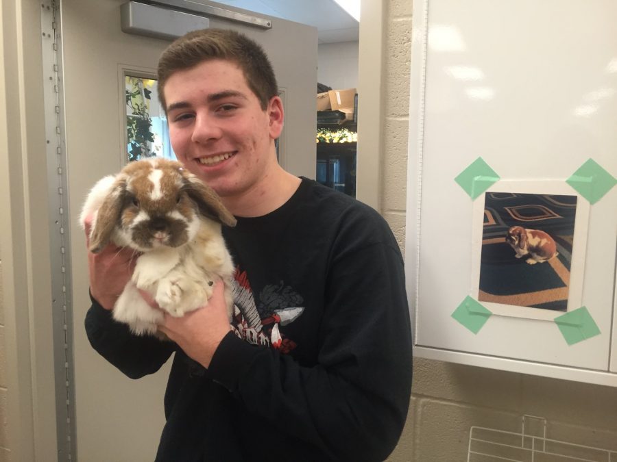 Matthew Chaney, Class of 2017, holds the bunny displayed at the January 25th assembly. 