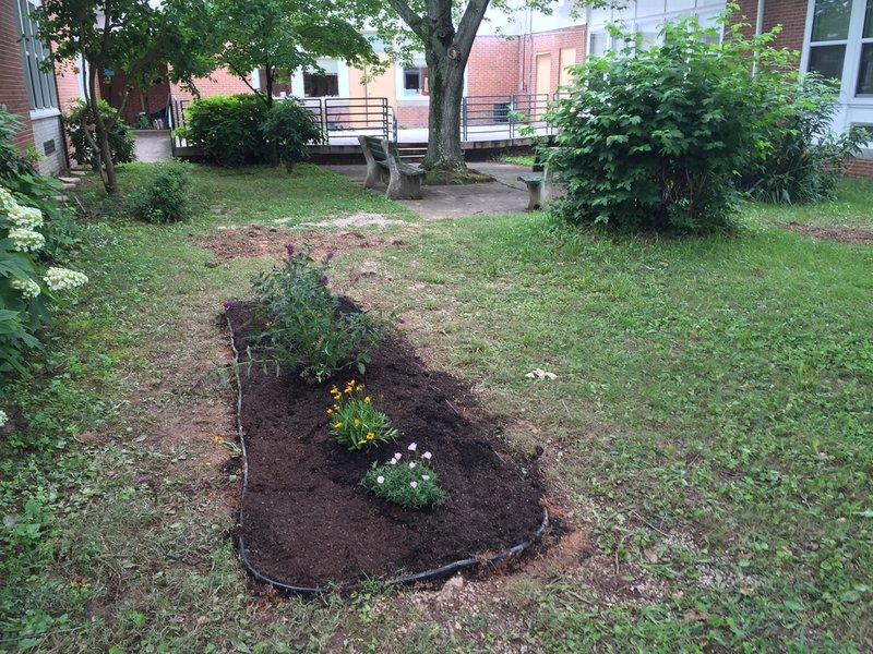 Part of the garden Dougherty composed for her Gold Award.