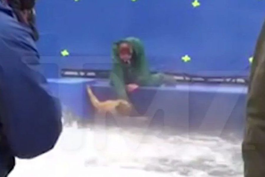Still image from the TMZ video of German Shepherd Hercules being forced into a body of water on the set of the production of A Dog’s Purpose