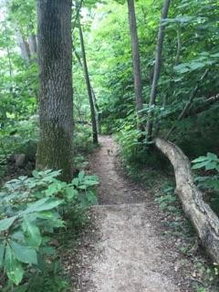 Simple trails make hiking a breeze and have just as beautiful scenery. 