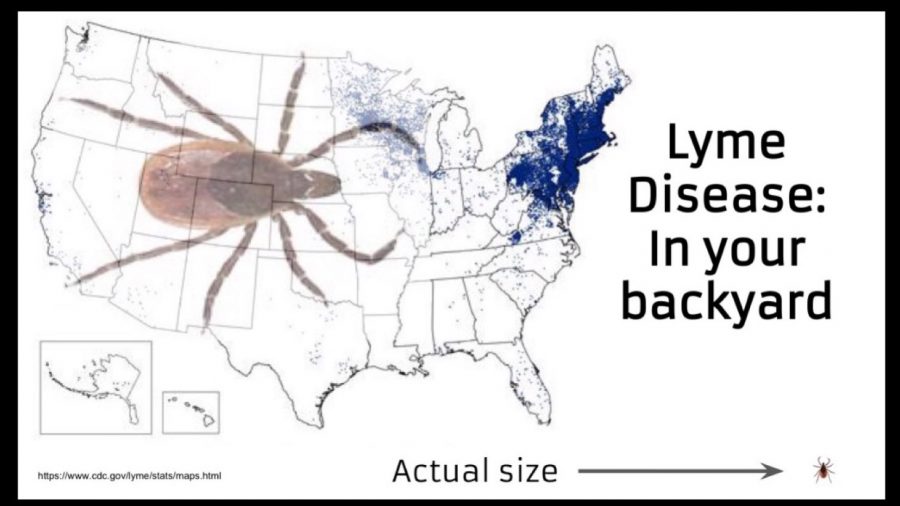 Lyme disease is a hidden danger. Tiny ticks carry Lyme and are easily missed. Map courtesy of the CDC.