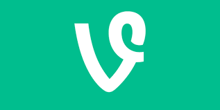 VINE: Very Interesting Nearly-hilarious Entertainment --Top 10 you dont want to miss