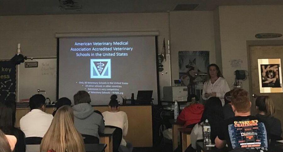 Barthlow gives a veterinary presentation to a Pre-Vet class