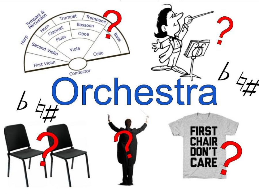 What is orchestra? What are chairs? What is the purpose of the conductor? Read to find out.