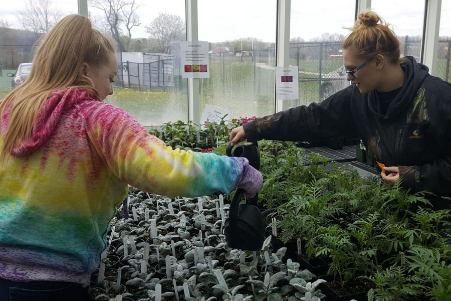 Mikayla Jordan and Breanna Spielman watering plants at the plant sale.