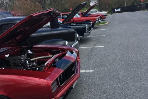 Cars that attended Linagnores Crusin for a Cause on Sunday. 