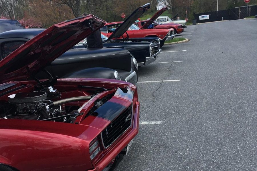 Cars that attended Linagnores Crusin for a Cause on Sunday. 