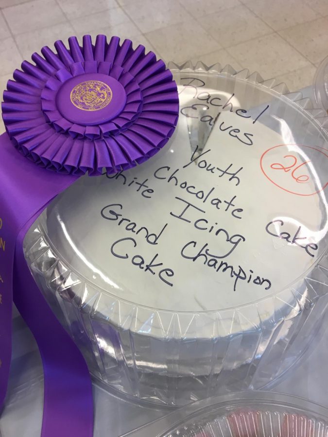 The Youth Grand Champion cake made by Rachel Eaves.