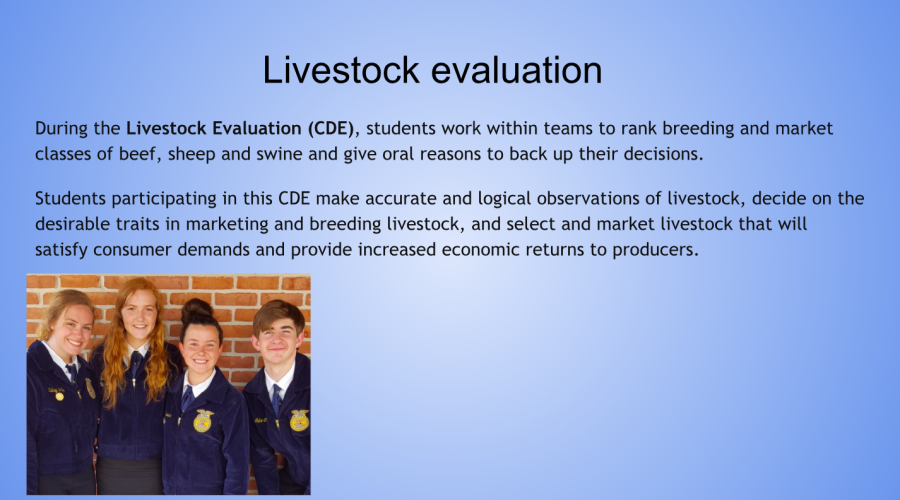 Livestock evaluation at nationals 