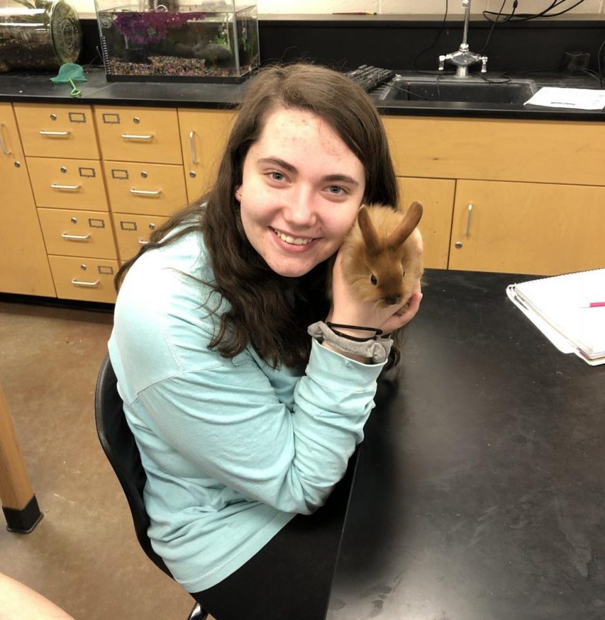 Hannah Bowie holds a lionhead rabbit