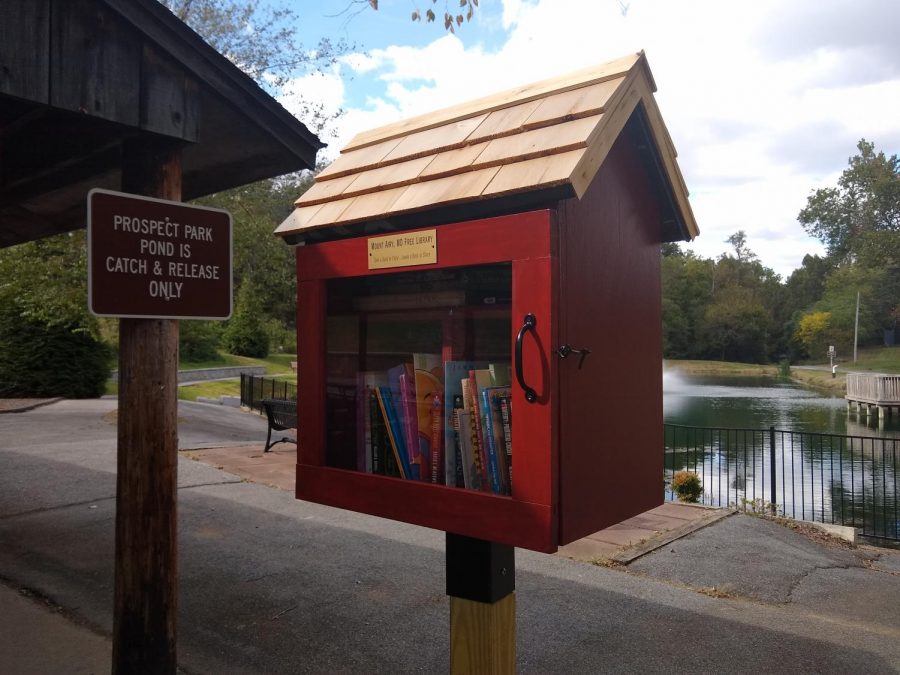 A finished Little Free Library created by Eric Daniels in Prospect Park