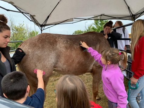 Amya Snowden supervises elementary school students as they brush her horse at the community show. 