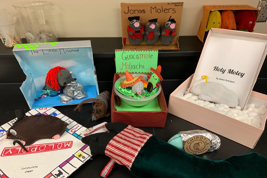 Several of the mole projects created by students in Mr. Stairs honors chemistry.