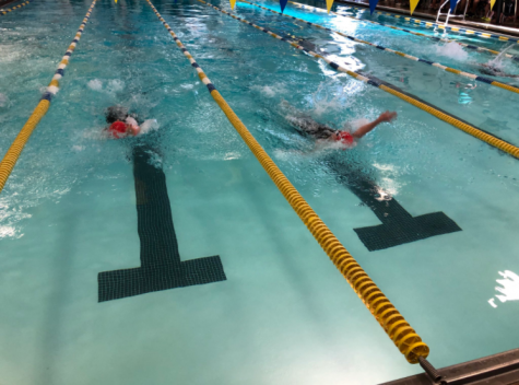 Two Linganore girls compete backstroke at Counties. 
