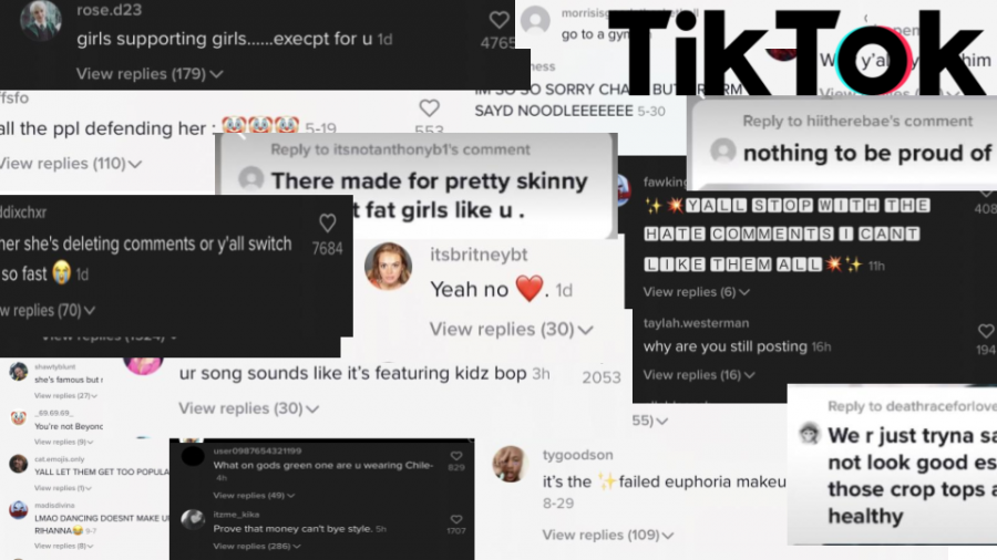 A few of Addison Raes comments from her latest TikToks. 