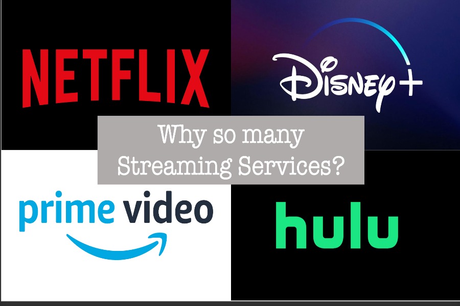 Neftflix, Disney Plus, Amazon Video, and Hulu are some of the most popular streaming services out there. Yet, there are still so many other options.