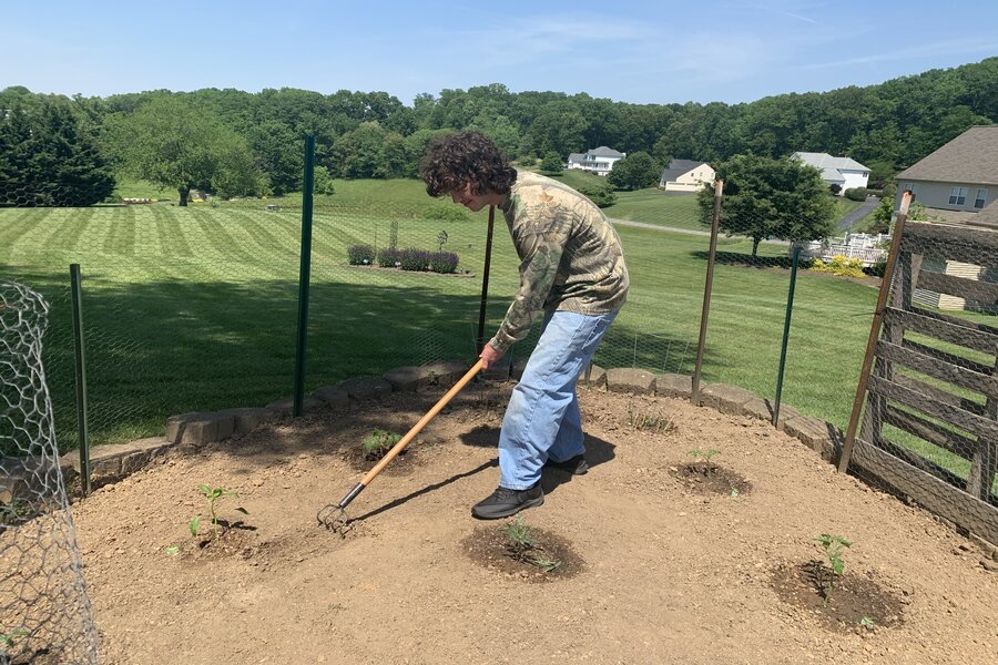Nick Condrasky tends the garden in his backyard as he prepares for harvesting season.