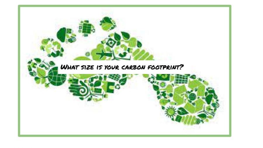What size is your carbon footprint?