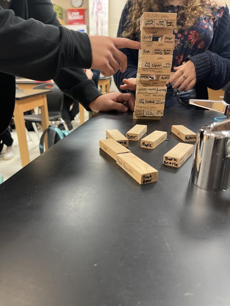 Amber McCauley teaches bodiversity with Jenga – The Lance