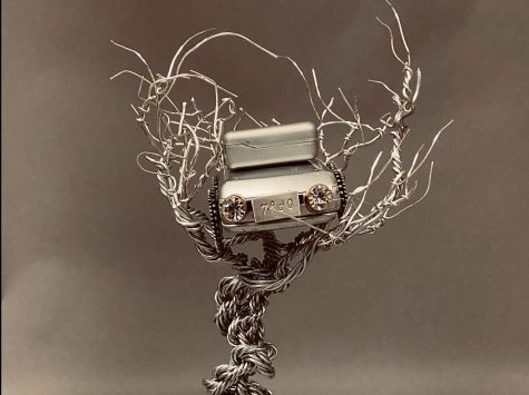 Whomping Willow by Lily Reynolds the third place winner in the Shippensburg 144 Competition. 