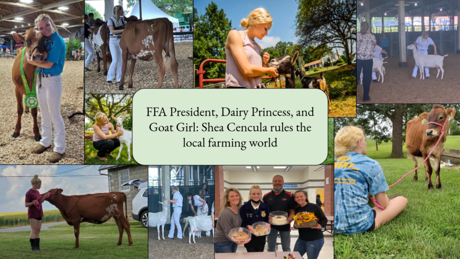 A collage of photos showcases FFA President Shea Cencula caring for her animals, helping showcase them at the Frederick fair, and spending time with her family. 