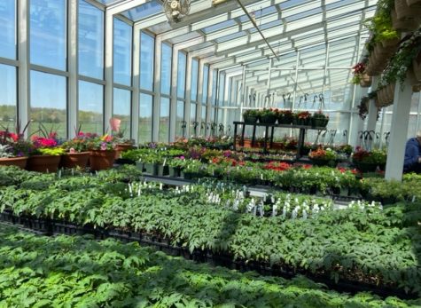 The full greenhouse waits for shoppers from the community. 