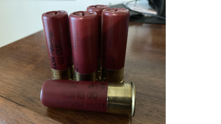 Five 12-gauge shotgun shells. Each holding a multitude of projectiles that can be fired in one shot. 