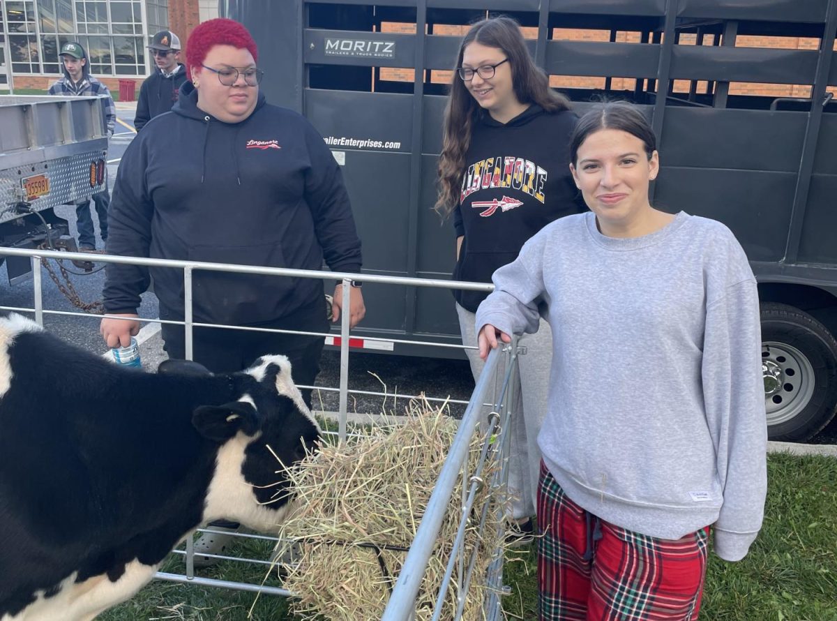 Students pose with a cow that was brought in for show.