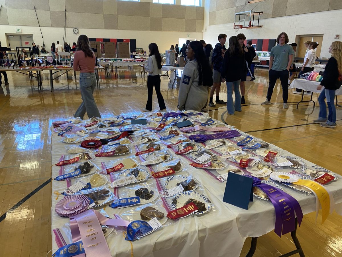 Students peruse the baked goods section of the show. These were awarded after the Bake Sale Dinner on Monday, October 9.