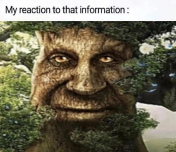 An image of a wise tree staring blankly, captioned "My reaction to that information"