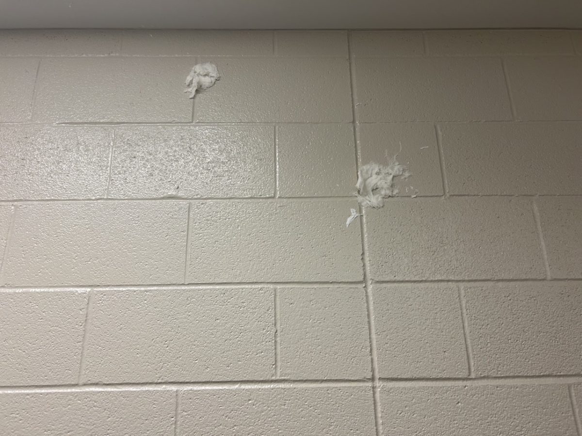 Wads of wet toilet paper are often thrown at the wall in one of the girls bathrooms. 