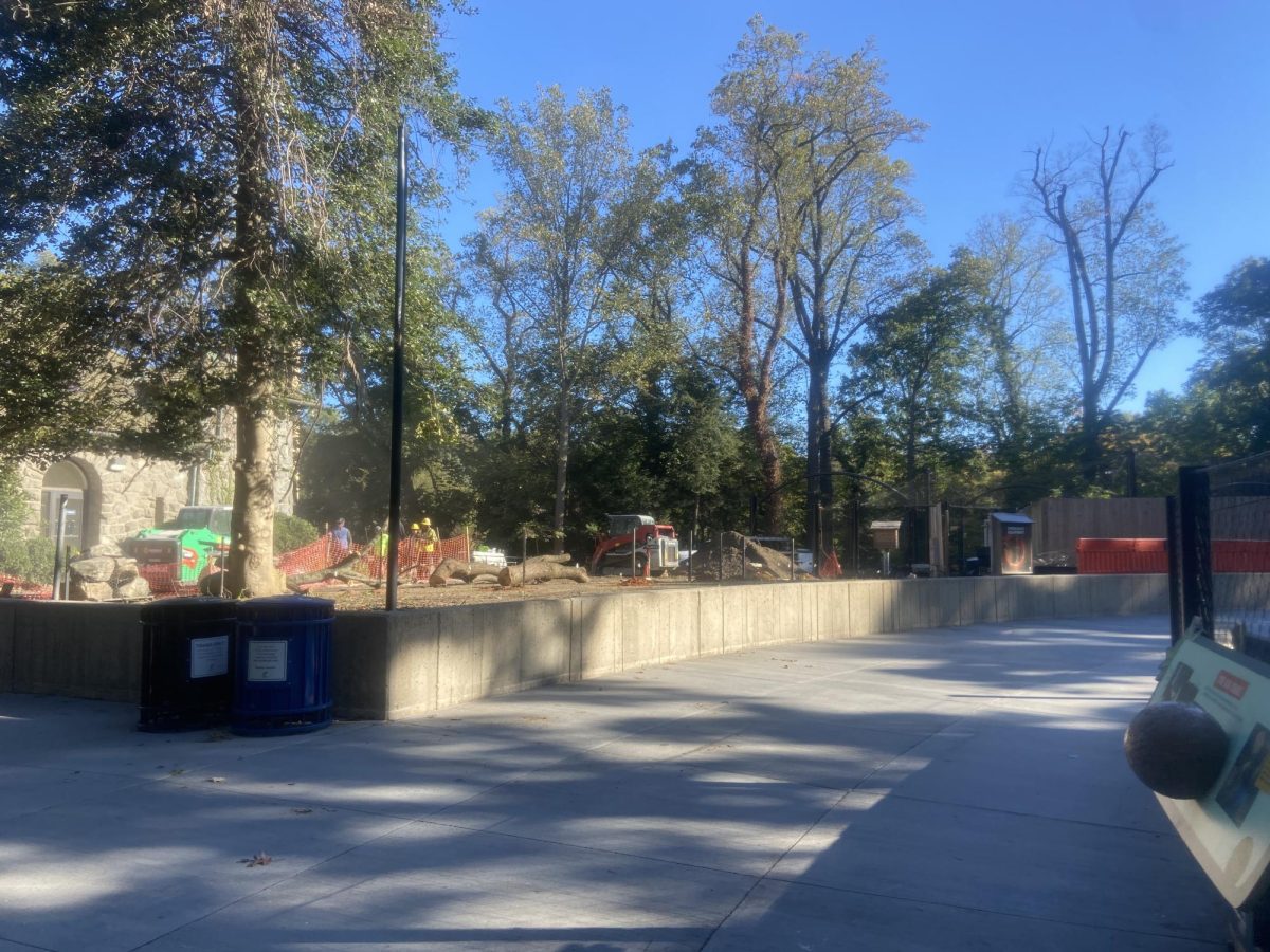 The old bobcat exhibit under constructor for the Zoo's new addition.