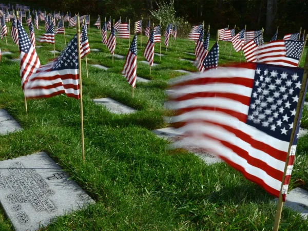 Flags wave proudly in honor of those who have served, remembering the courage and sacrifice of our veterans today and every day
https://www.usatoday.com/story/news/nation/2023/11/09/what-is-veterans-day-2023/71515012007/ 