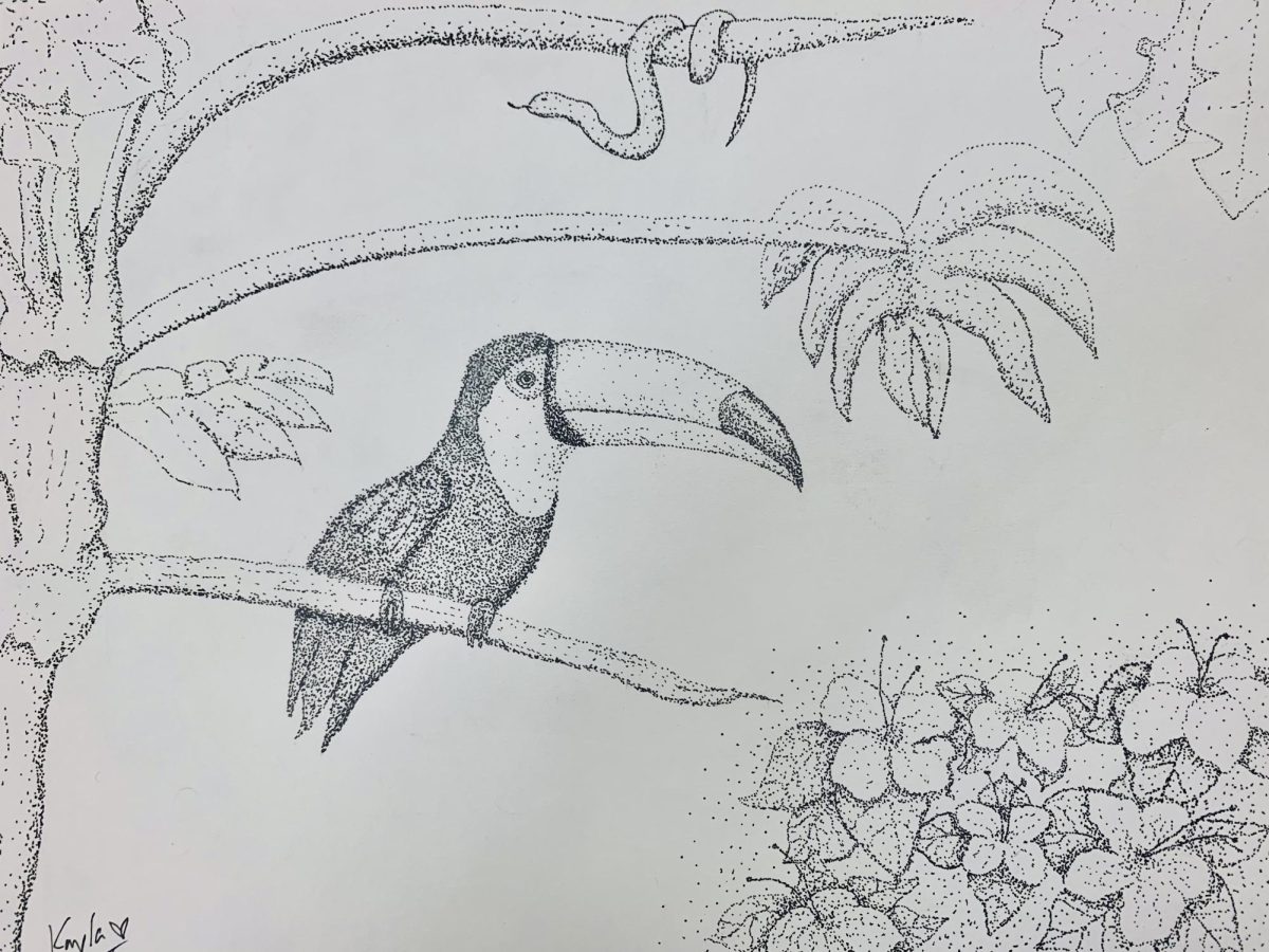 College freshman Alia Cain draws a toucan for the "exotic" prompt during Inktober.