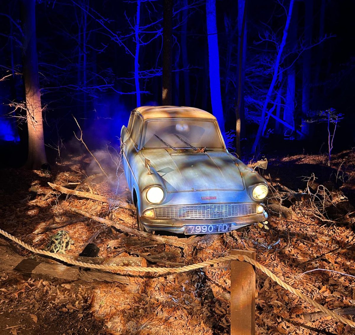 Rons' family magic car stuck in the forest, just like it was portrayed in the second Harry Potter movie, "the Chamber of Secrets." 