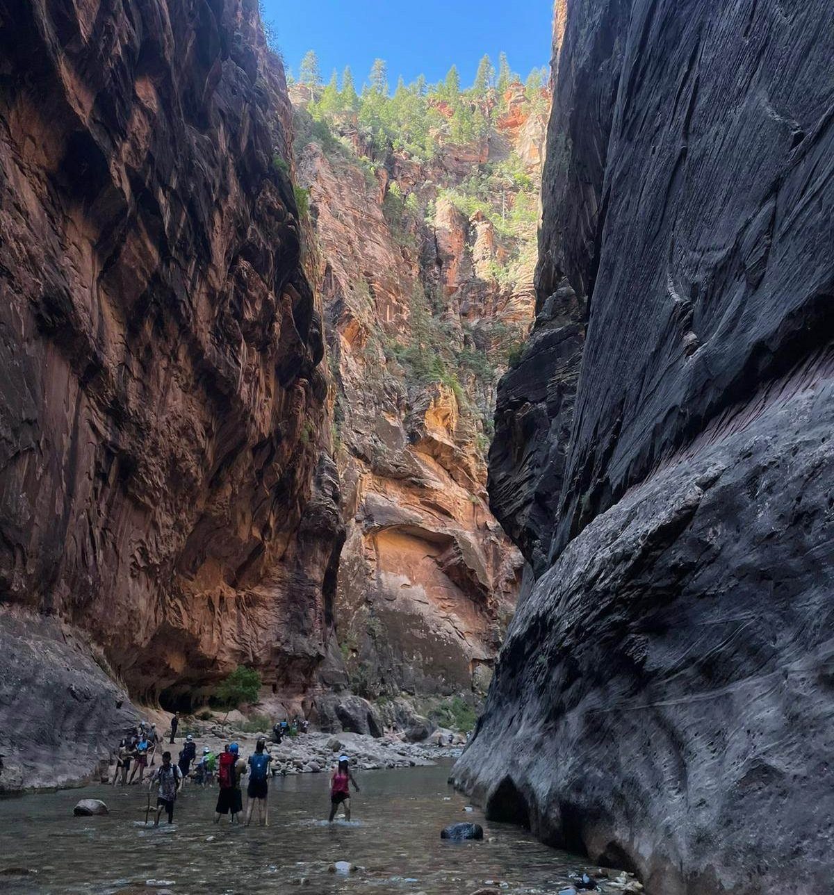 During dry season in Zion National Park, the Virgin River dries up, creating an easy hiking route to The Narrows.