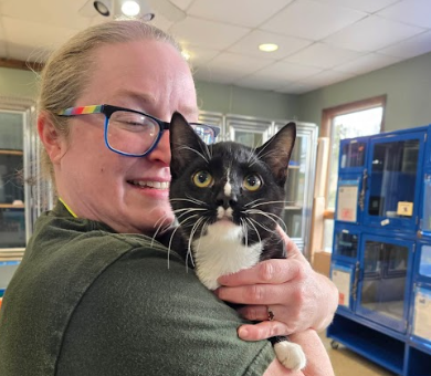 A volunteer at The Humane Society of Carroll County as she holds one of their new cat arrivals.
Used with permission (Photo by - Jamie Limoges)