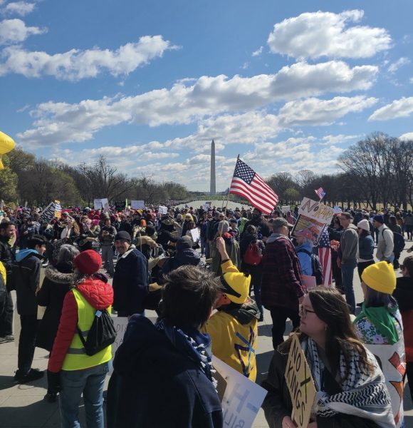 Thousands march in Washington, DC in support of the No Kings movement.